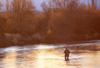 Tongariro River 101356.jpg